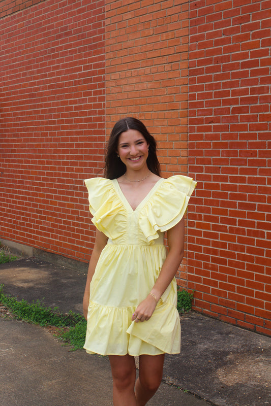 Kamryn Ruffle V-Neck Woven Dress