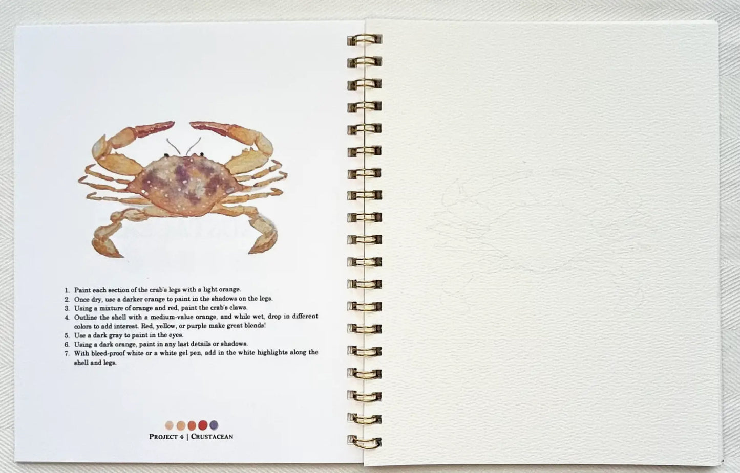 By the Sea Watercolor Workbook