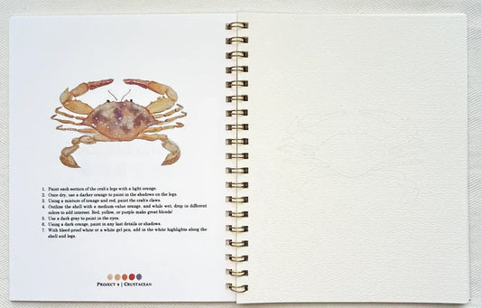 By the Sea Watercolor Workbook