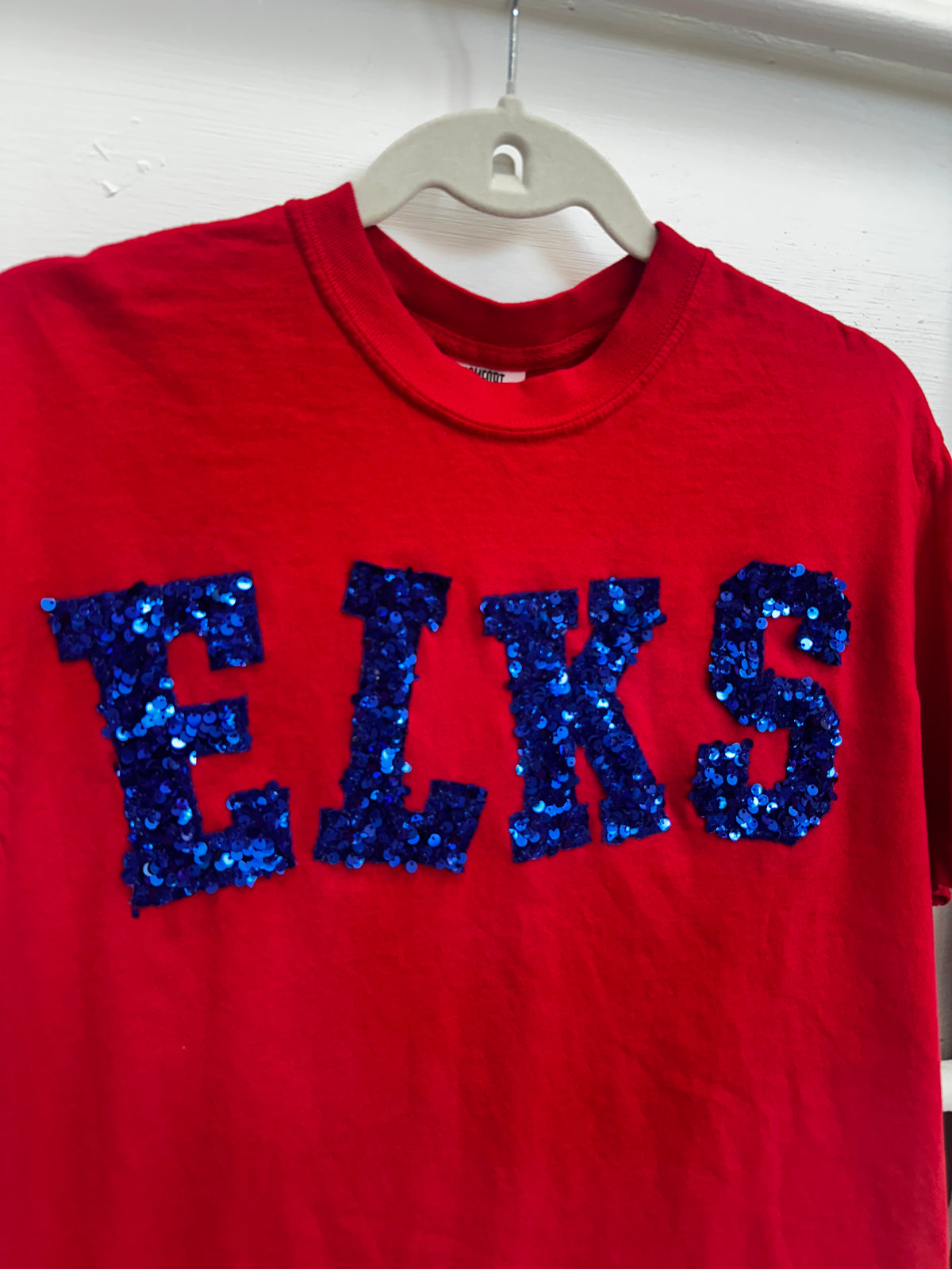 Custom School Fabric Spirit Shirt