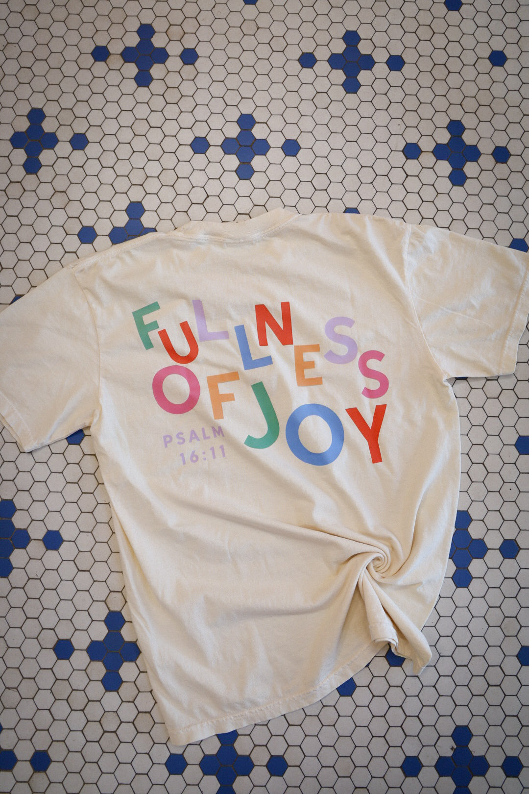 Fullness of Joy Graphic Tee