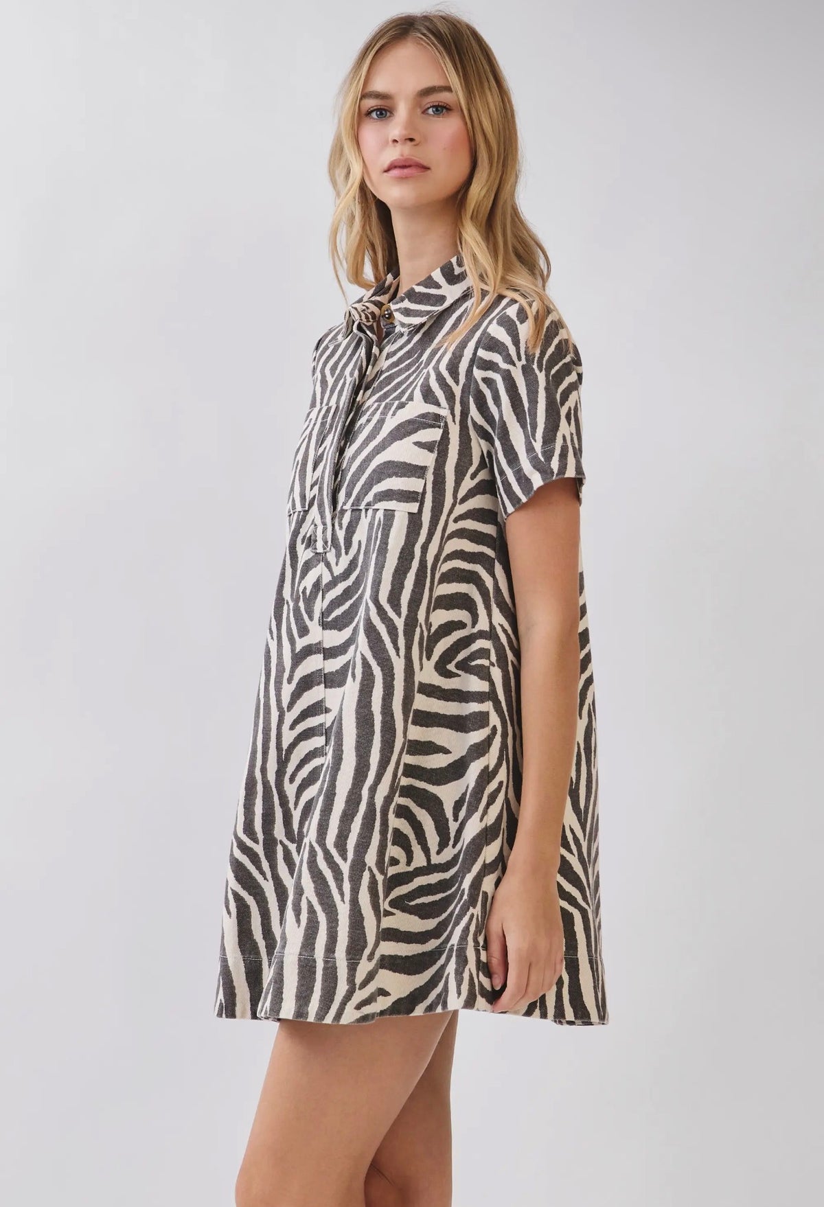 Zebra Print Dress
