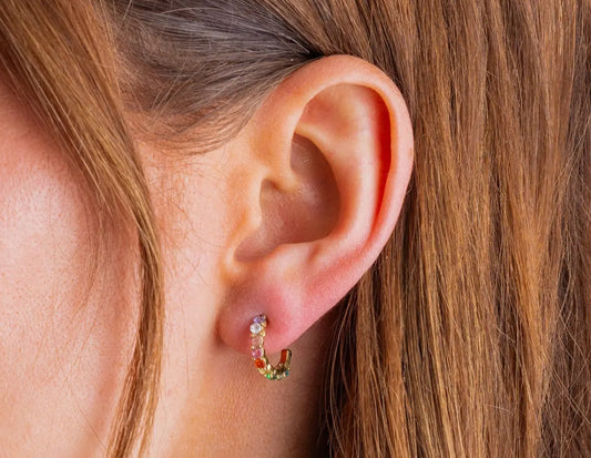 Huggie Colorful Earrings