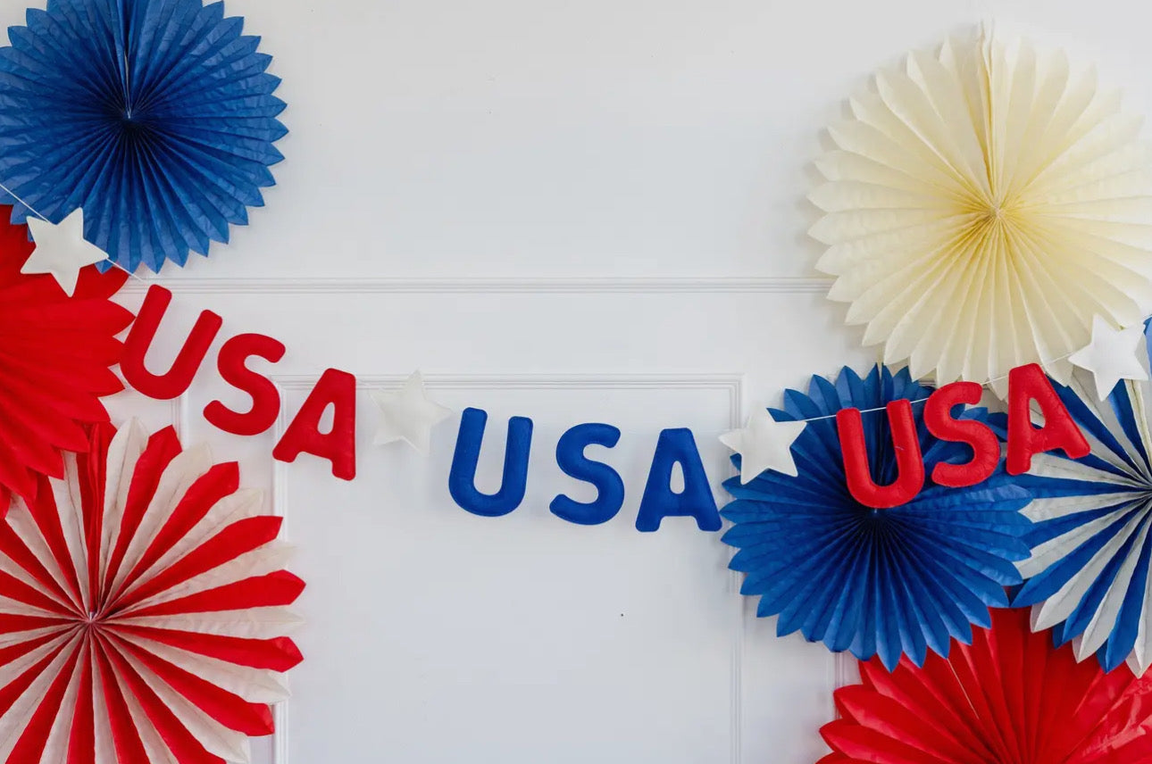 USA Puffy Felt Banner